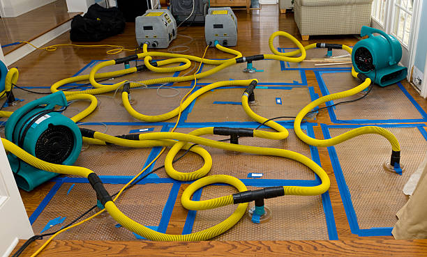 Professional Water Damage Restoration technician working in Oxford, OH